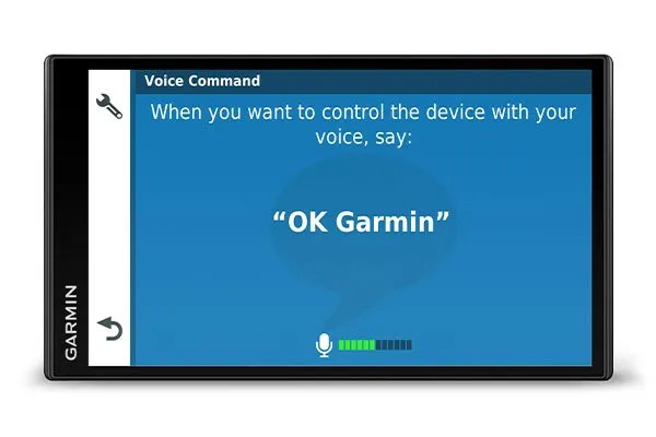 voice assistant